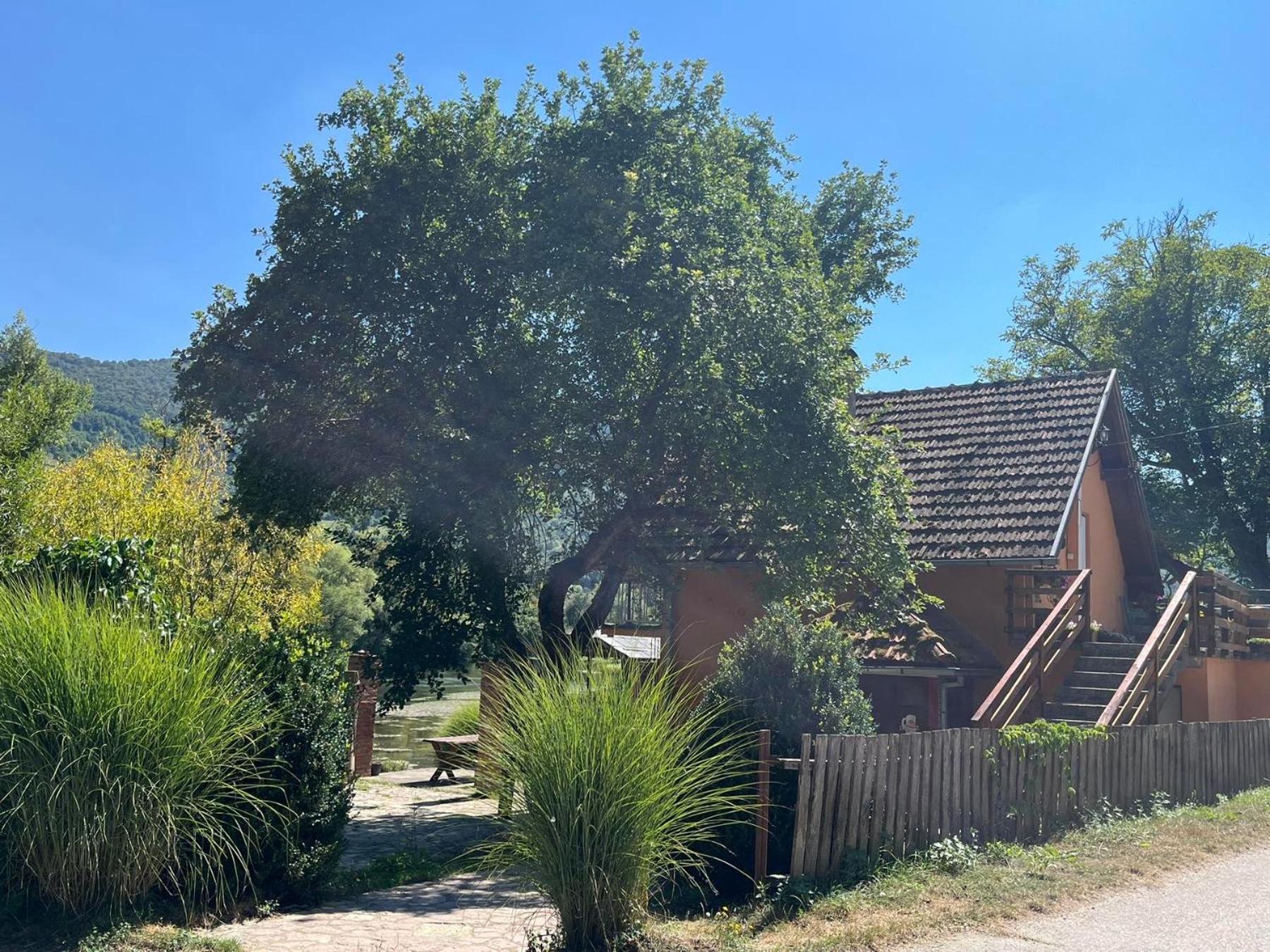 Bed And Breakfast Family Djukic Sipovo Esterno foto